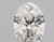 1.00 Carat Oval Lab Grown