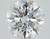 2.55 Carat Round Cut Lab Grown