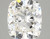 3.32 Carat Cushion Lab Grown
