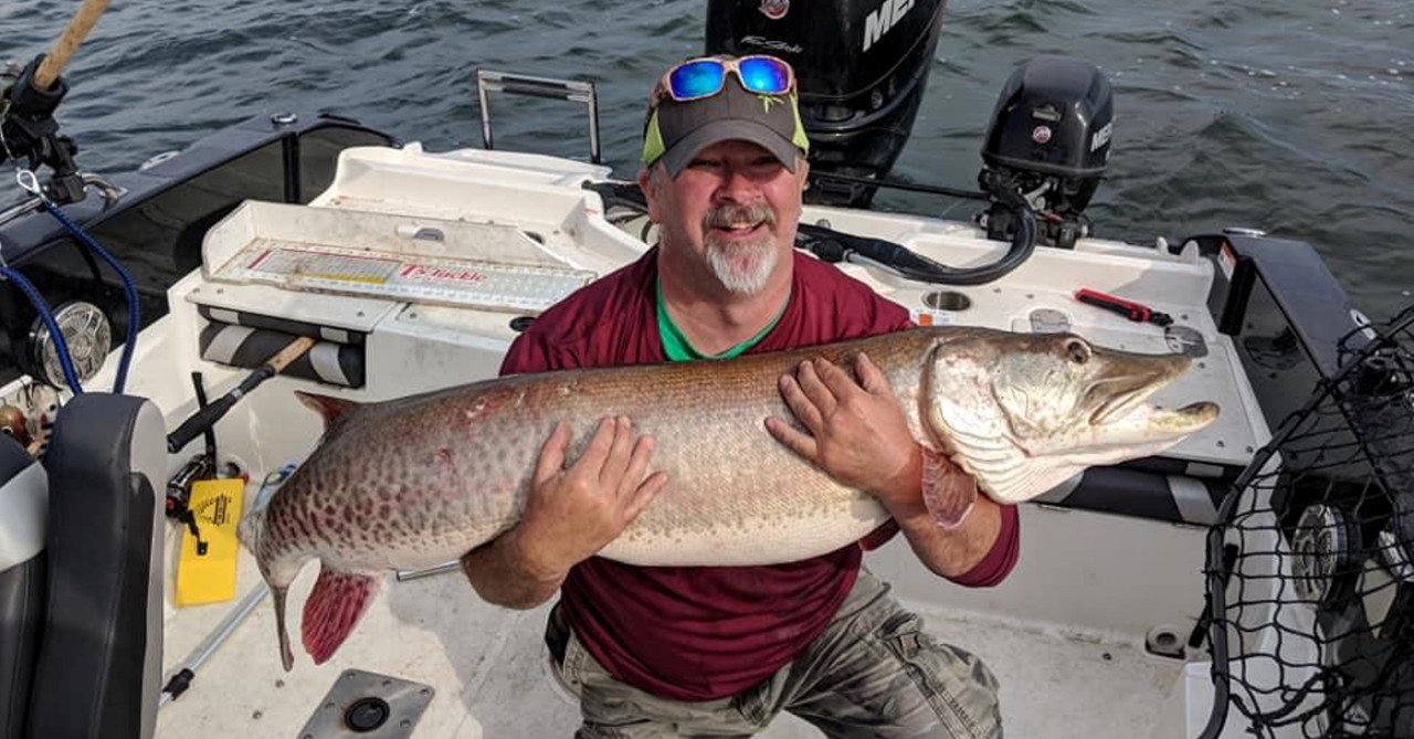 Hook'em Holloway Lures