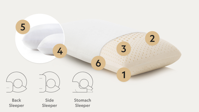 Points on Talalay Latex Pillow