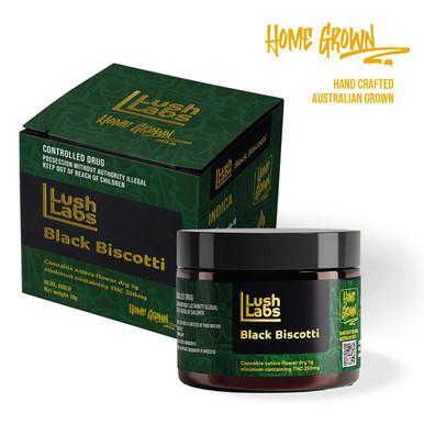 Lush Labs T25 (Black Biscotti) Flower | 10g