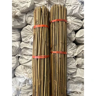 Natural Bamboo Stakes