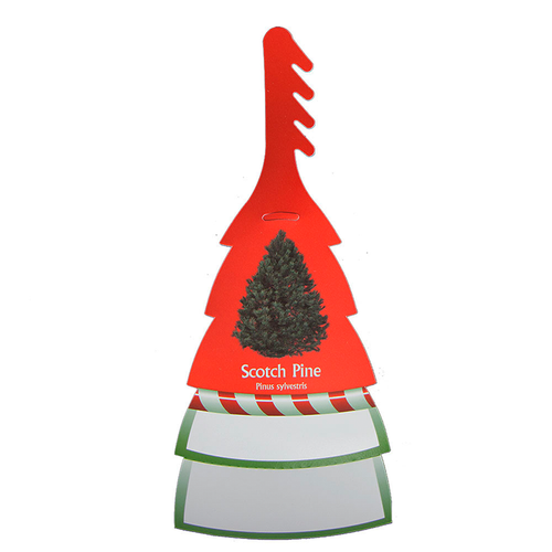 NCTA tree tags Scotch Pine Tags, 100/Bundle