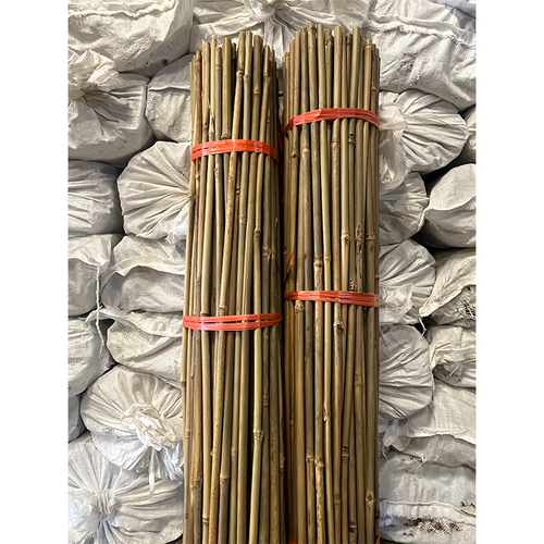 Tonkin bamboo canes
