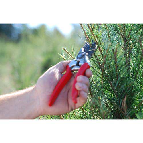 Pruners & Loppers