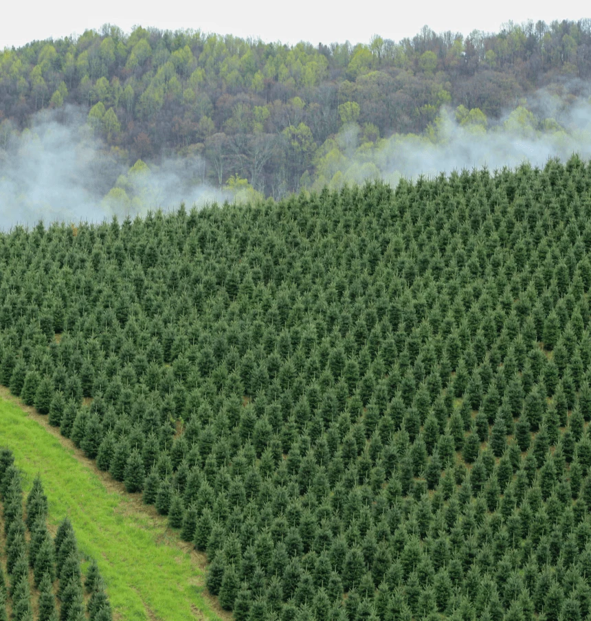 Kirk Company Sustainability Best Practices