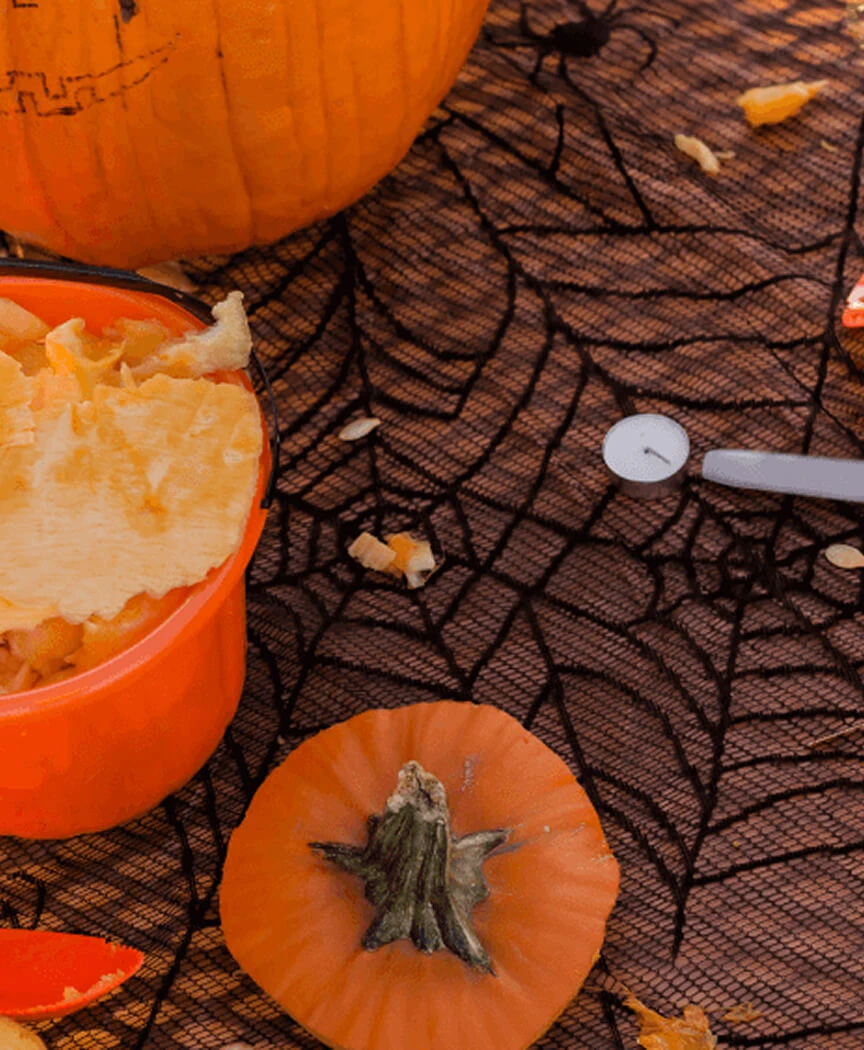 Fall Products