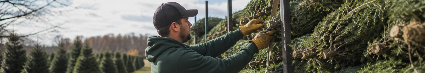 Grower Resources