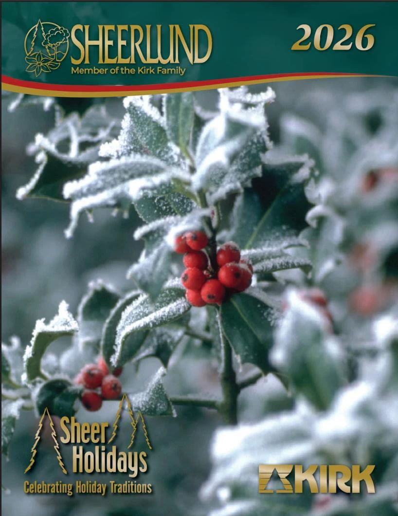 Sheer Holiday 2026