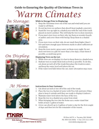 Warm Climate Tree Lot Care