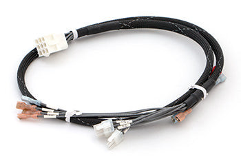 YL 580002386