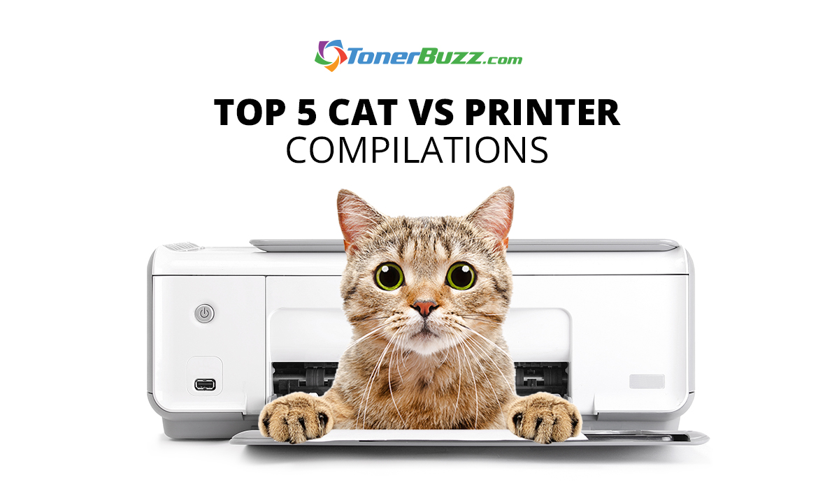 Kritisk Arrangement stenografi Top 5 Funniest Cat vs. Printer Compilations On YouTube - Toner Buzz