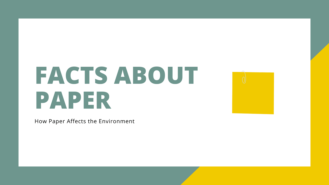 Facts About Paper How Paper Affects the Environment Toner Buzz