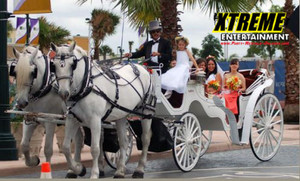 Horse Drawn Carriage Ride Horse Drawn Carriage Ride