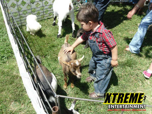 Petting Zoo Petting Zoo