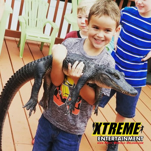 Small Exotic Animal Encounter Small Exotic Animal Encounter
