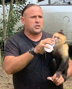Capuchin Monkey Capuchin Monkey