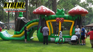 Mushroom Bounce House Mushroom Bounce House