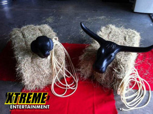 Bull Head Decor Bull Head Decor