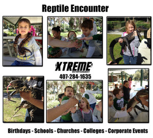Reptile Encounter Reptile Encounter