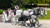 Horse Drawn Carriage Ride Horse Drawn Carriage Ride