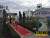 Red Carpet with Stanchions Red Carpet with Stanchions