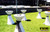 Table and Chair Rentals