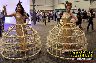 champagne dress costume Amazon.com: Rasta Imposta Champagne Dress Halloween Costume, Women One Size Medium : Clothing, Shoes & Jewelry