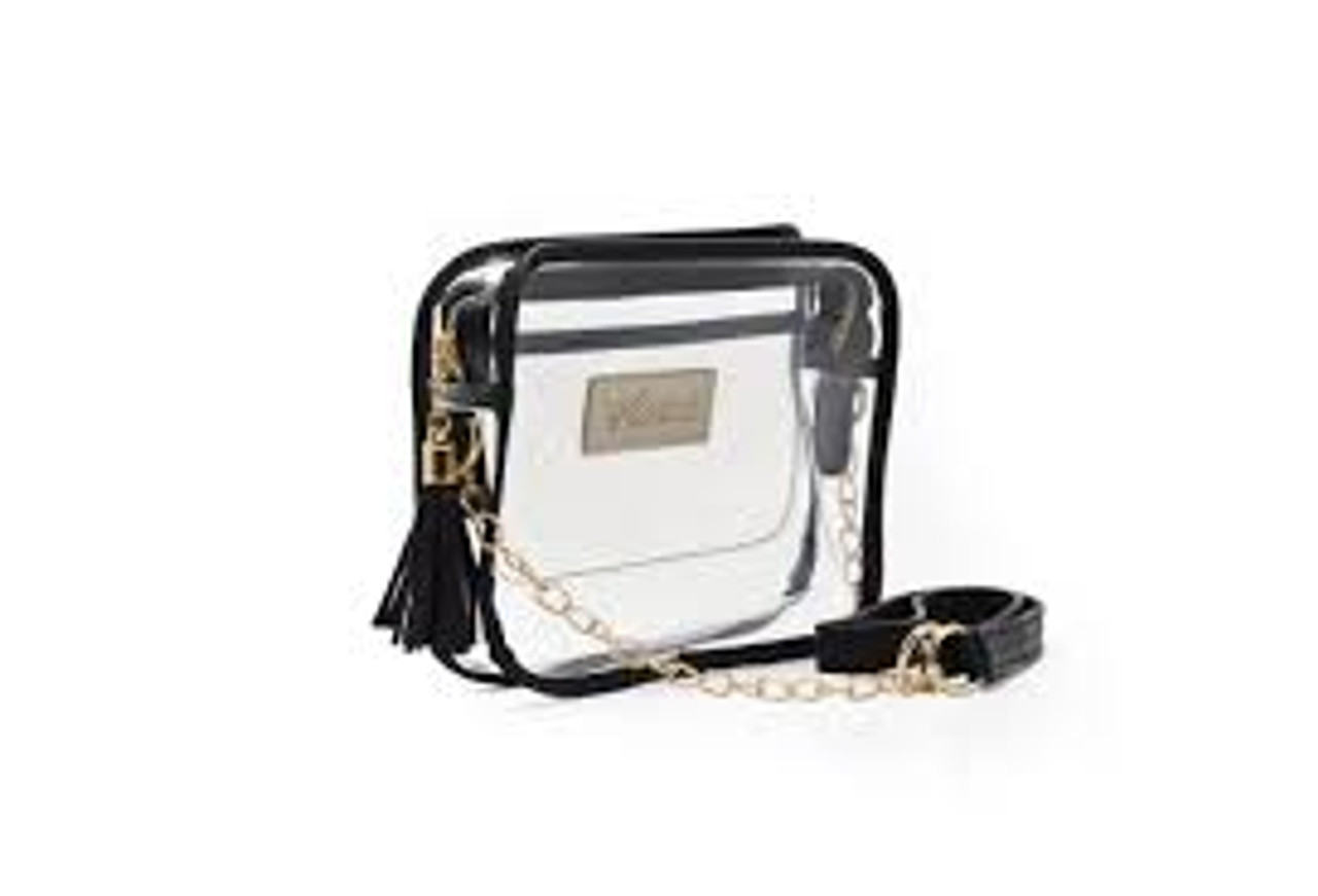 clear fendi purse