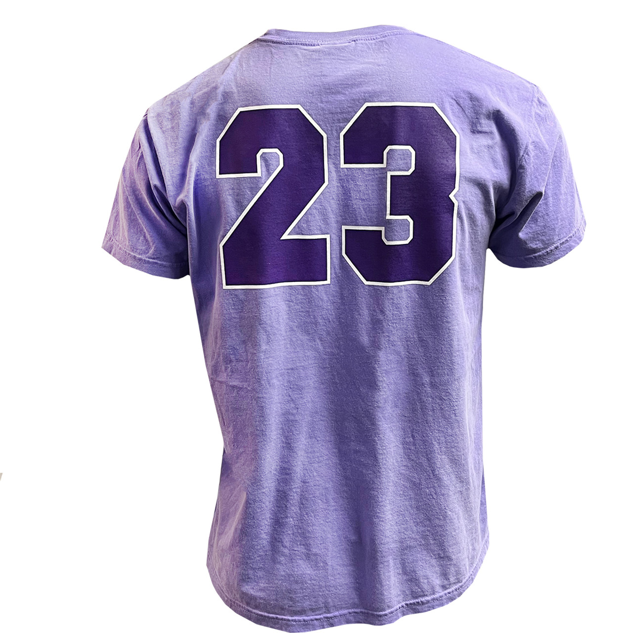Powder Purple Pirates Script Comfort Colors T-shirt #23 Back