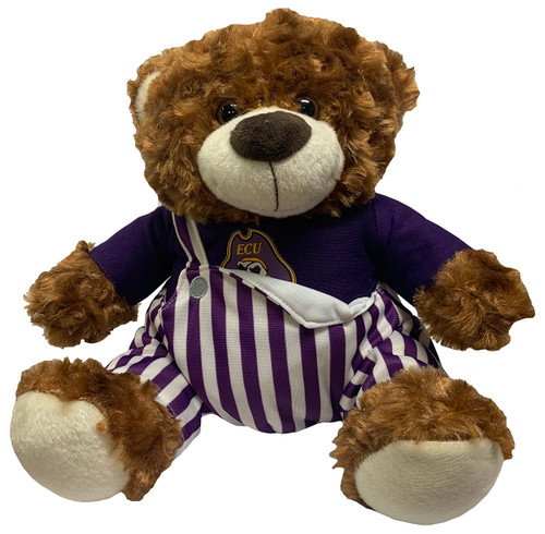 Brown Bear w/ Purple Pinstriped Overalls