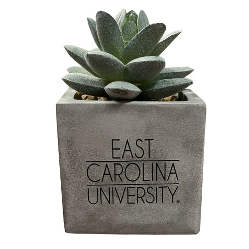 Furry Single East Carolina University Succulent