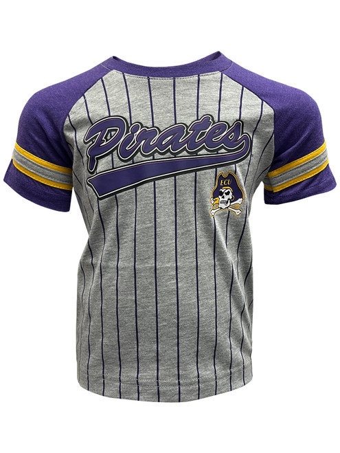 Gray Toddler Purple Striped Pirates Fire Hawk Tee