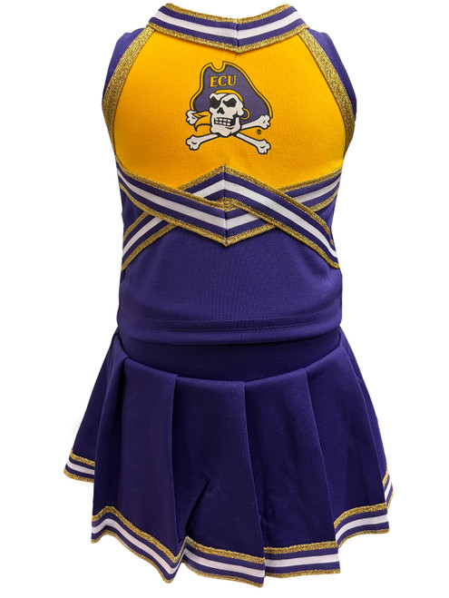 Toddler Purple and Gold Jolly Roger Cheer Set