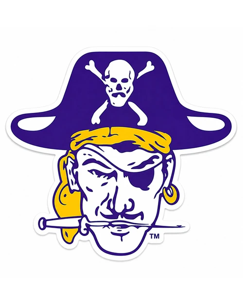 Vault Pirate Head Magnet 3X4"