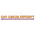 ECU College of Nursing Bar Strip Decal