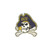 Holographic Jolly Roger Decal
