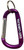 East Carolina Carabiner Keychain