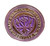 East Carolina Seal Silver Pin