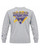 Youth Champion Jolly Roger East Carolina Pirates Triangle Long-Sleeve Gray Jersey Tee