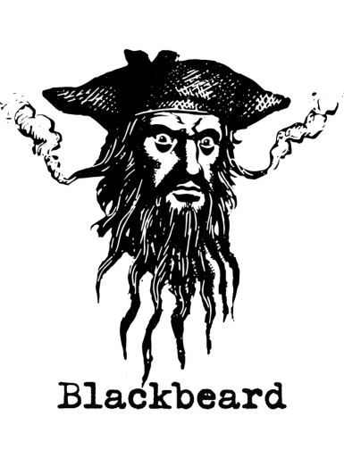 Blackbeard Head Sticker - University Book Exchange