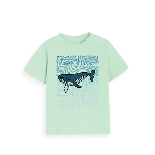 3E Organic Baby T - Whale / Green