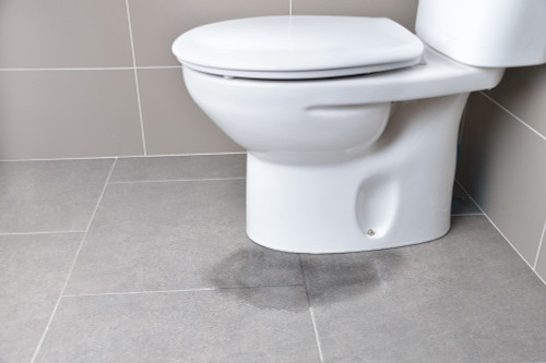 Bathroom Flood Risks: Prevention and Mold Considerations Bathroom Flood Risks: Prevention and Mold Considerations