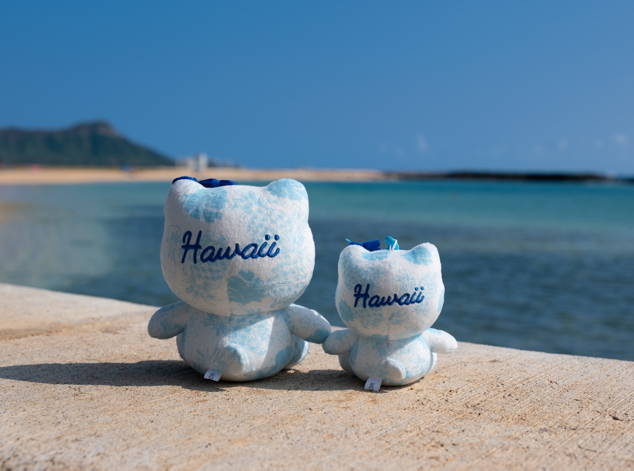 Hello Kitty Hawaiiストラップ Hello Kitty Hawaii Limited Strap Collectible Accessory Japan
