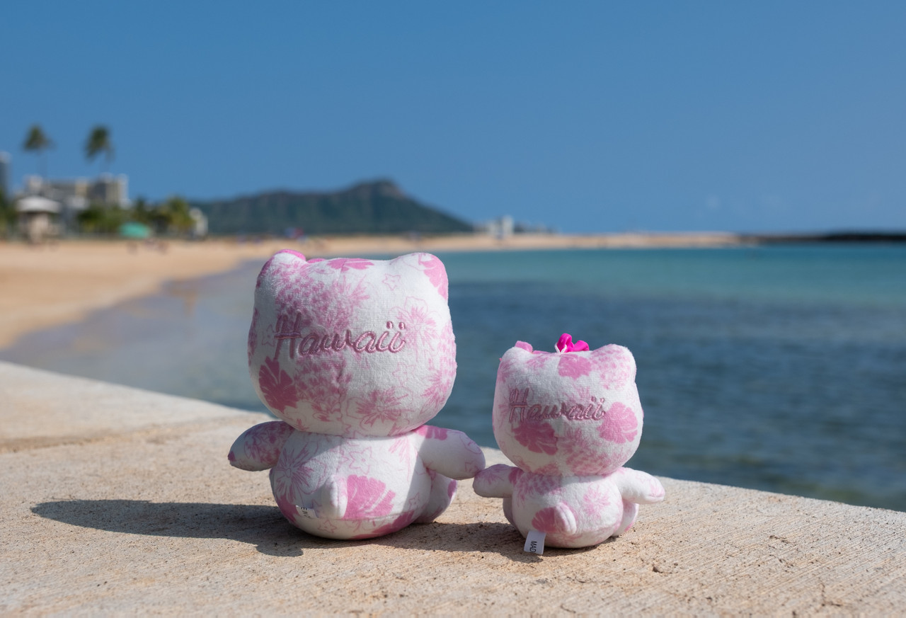 【pink hawaii】 Hello Kitty® Plush 4