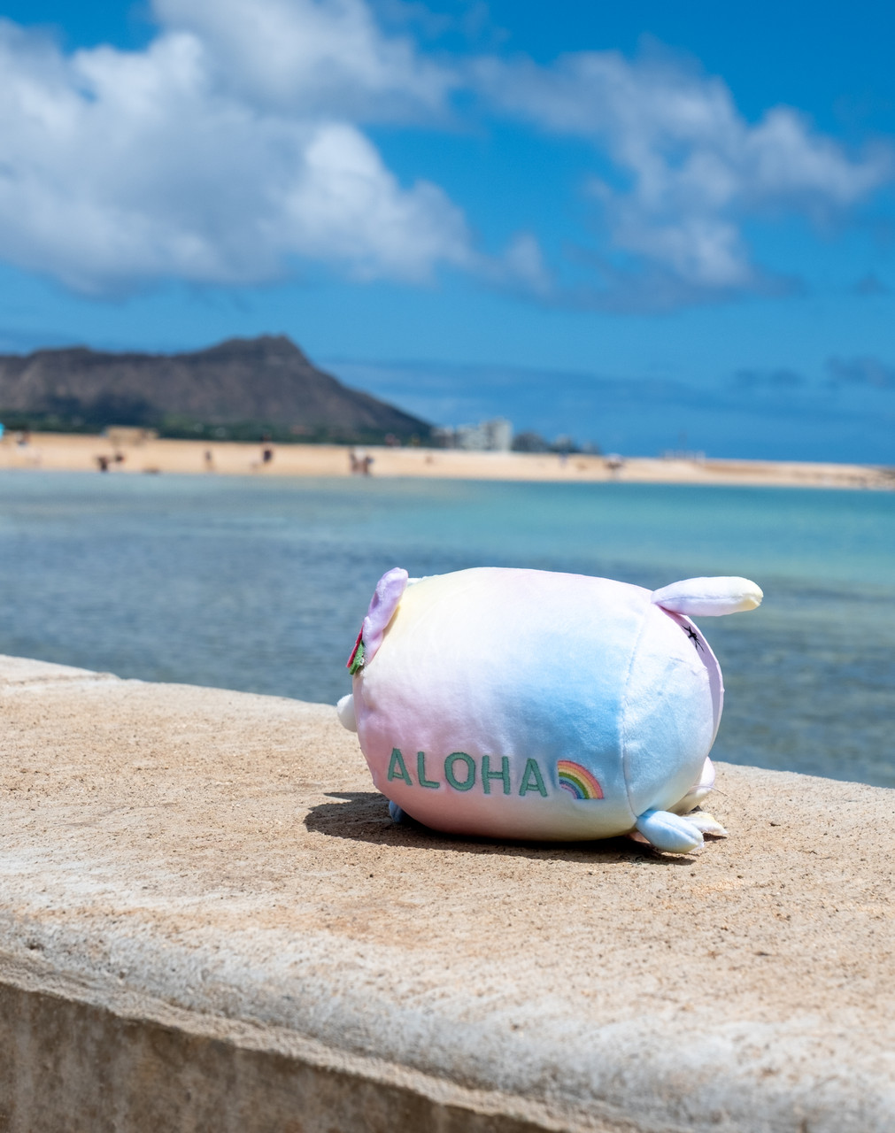 Mochi Fuwa Corocoro Plush: Aloha Pink Hibiscus Cat