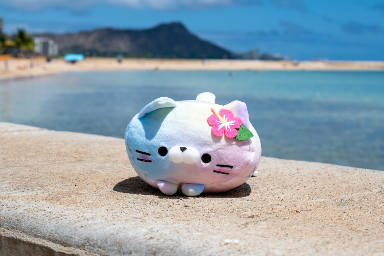 mochi様 Mochi Fuwa Corocoro Plush: Aloha Pink Hibiscus Cat