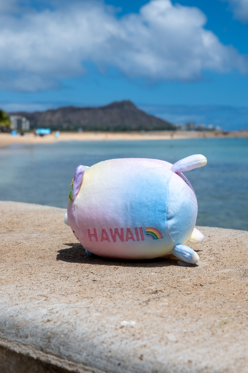 ぬいぐるみ E Ho'olaha Aloha Mochi Fuwa Corocoro Plush: Hawaii Yellow Hibiscus Cat