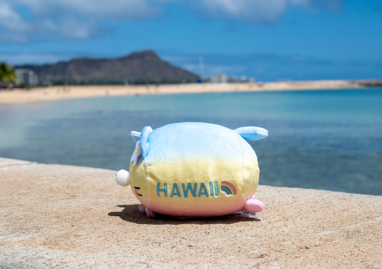 ごぶごぼ様MoniOne Mochi Fuwa Corocoro Plush: Hawaii Plumeria Cat
